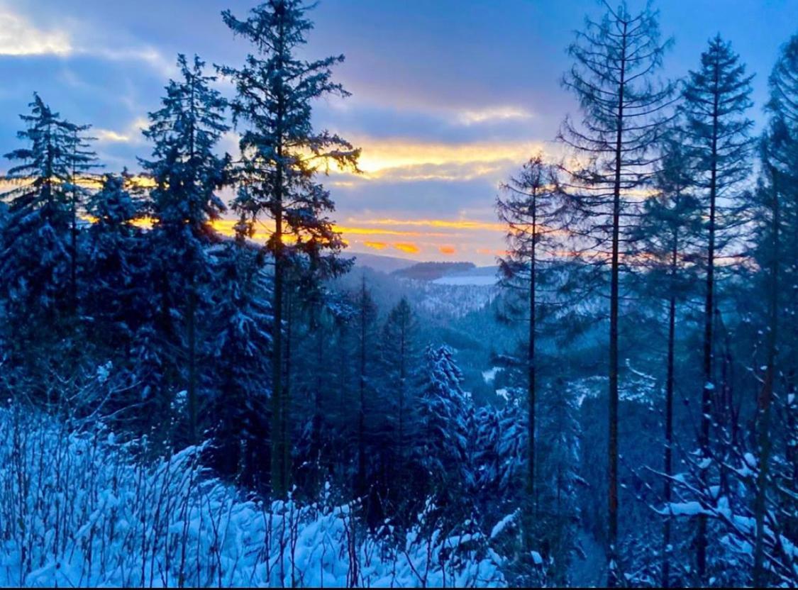 Landhotel Flora & Fauna (Adults Only) Winterberg Dış mekan fotoğraf