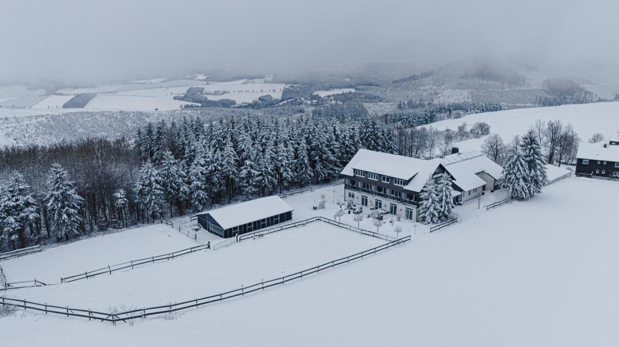 Landhotel Flora & Fauna (Adults Only) Winterberg Dış mekan fotoğraf