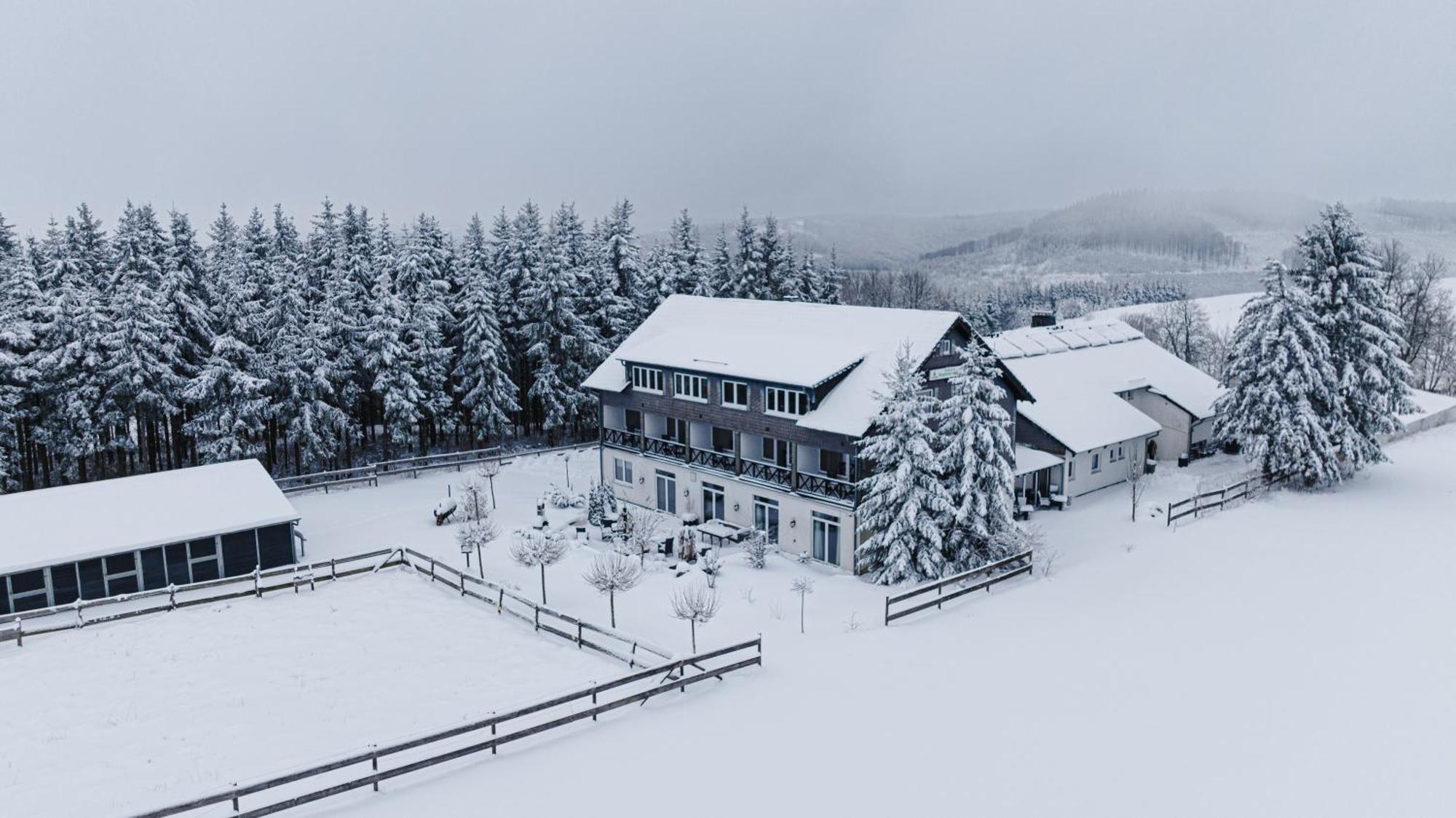 Landhotel Flora & Fauna (Adults Only) Winterberg Dış mekan fotoğraf