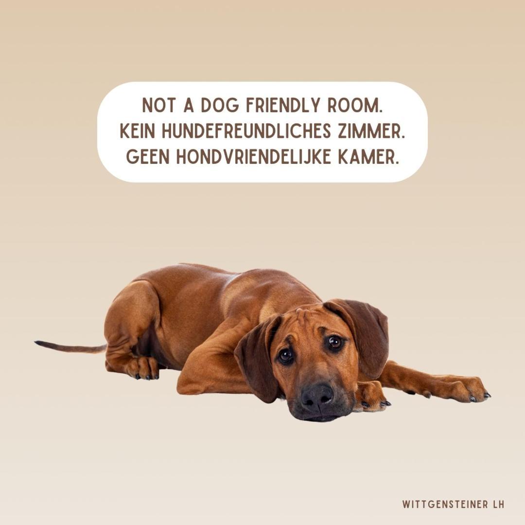 Landhotel Flora & Fauna (Adults Only) Winterberg Oda fotoğraf